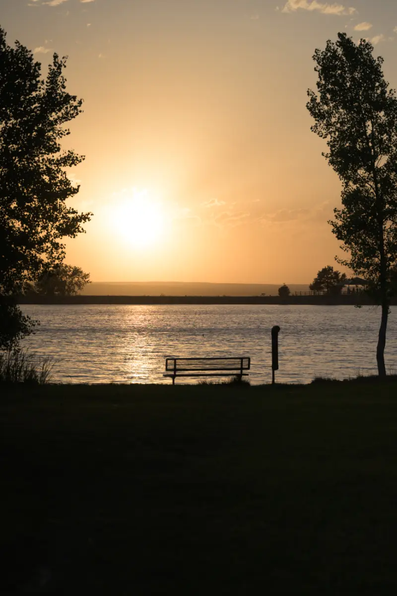 A park bench facing the lake at sunset, framed by cottonwood trees.